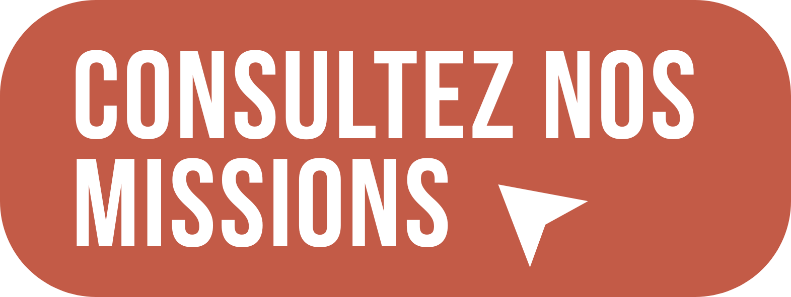 Bouton service civique